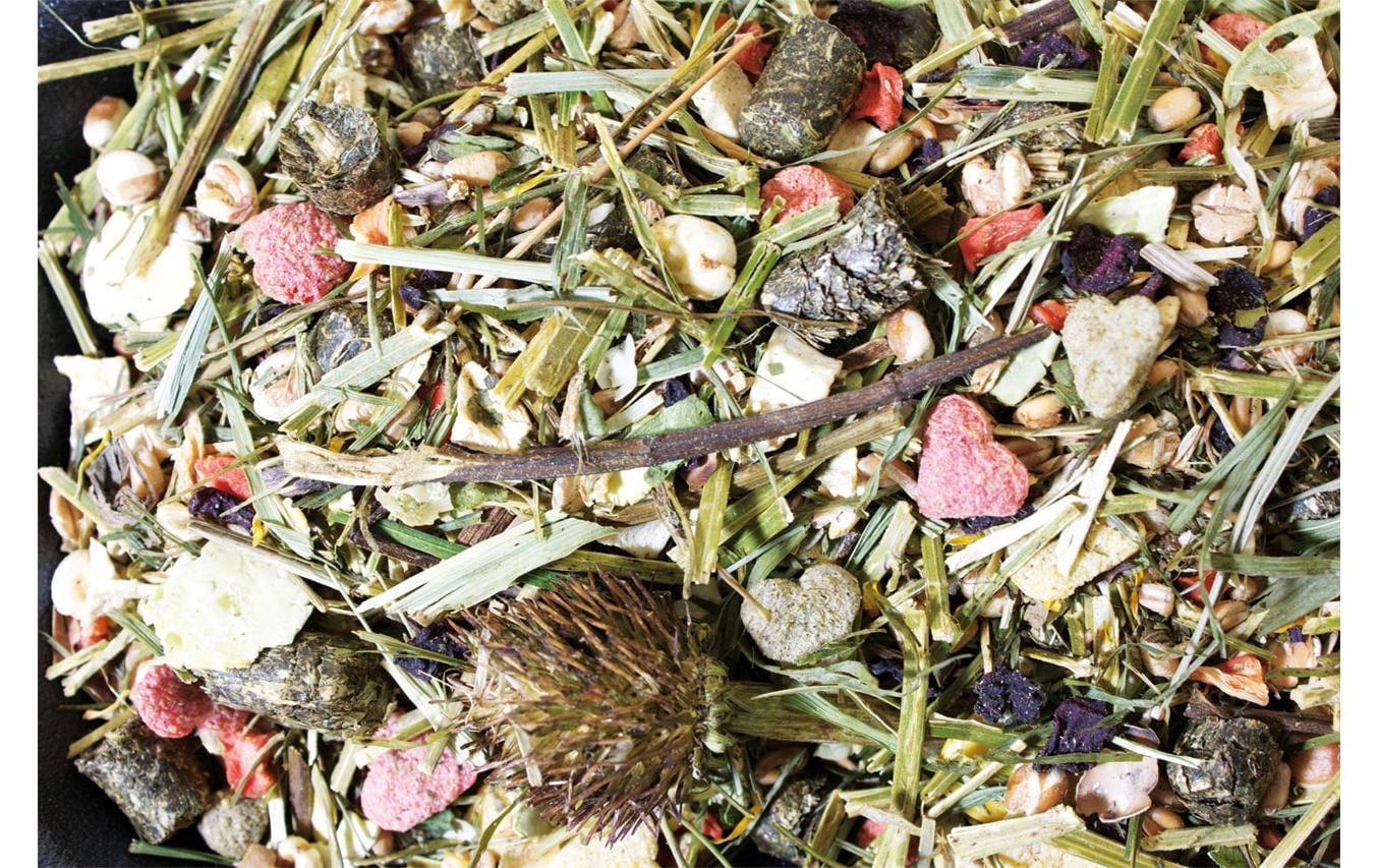 JR Farm Hauptfutter Basic Degu-Schmaus, 1.6 kg JR Farm Hauptfutter Basic Degu-Schmaus, 1.6 kg