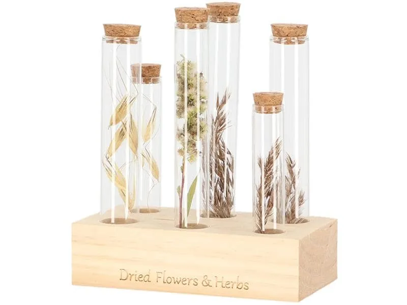 Esschert Design Vase Reagenzglas L 6 Gläser, 17.5 cm, Nature/Transparent