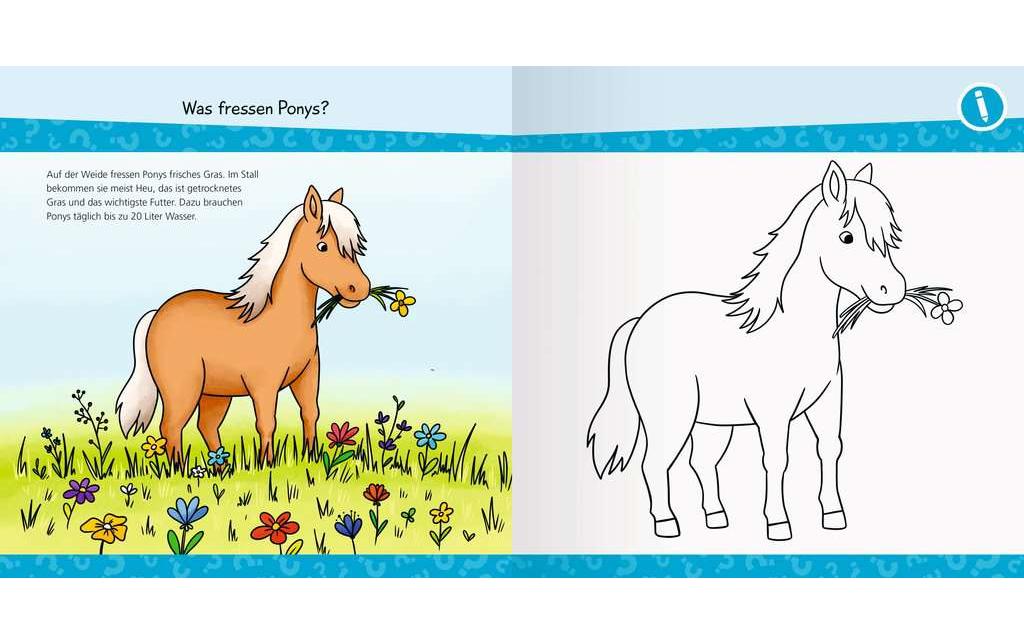 Ravensburger Kinder-Sachbuch Wieso? Weshalb? Warum?