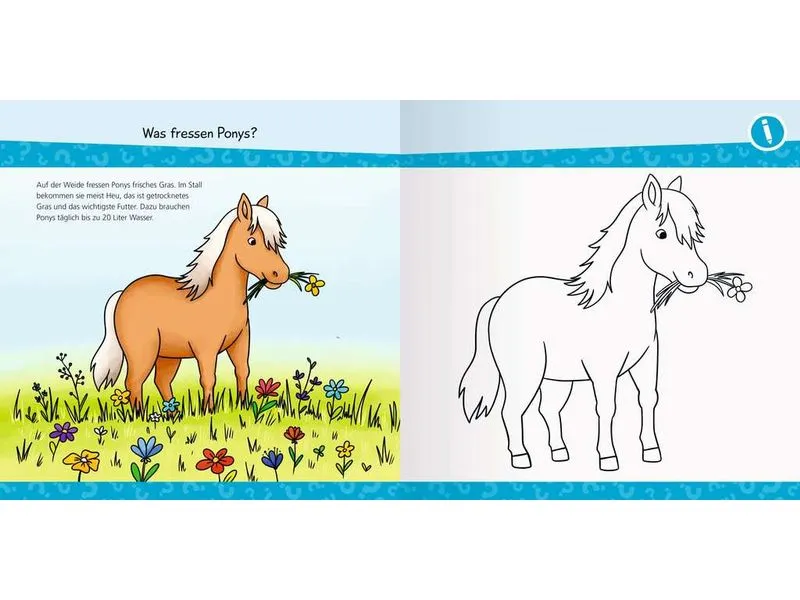Ravensburger Kinder-Sachbuch Wieso? Weshalb? Warum? Ravensburger Kinder-Sachbuch Wieso? Weshalb? Warum?