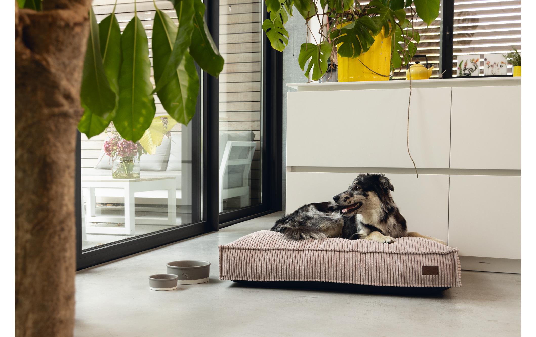 Designed by Lotte Hunde-Bett Ribbed Rosa 120x80x15cm Designed by Lotte Hunde-Bett Ribbed Rosa 120x80x15cm