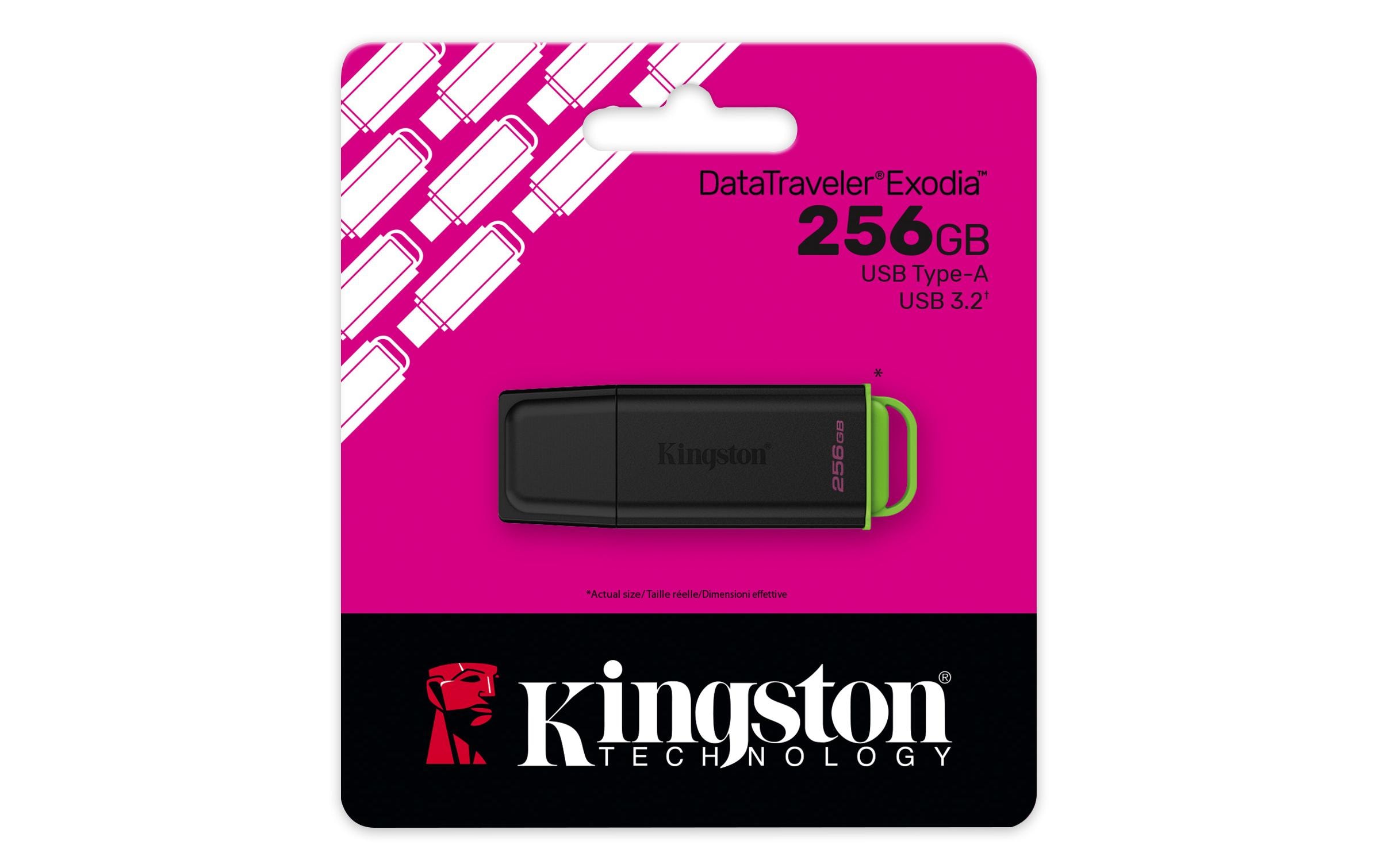 Kingston USB-Stick DataTraveler Exodia 256 GB