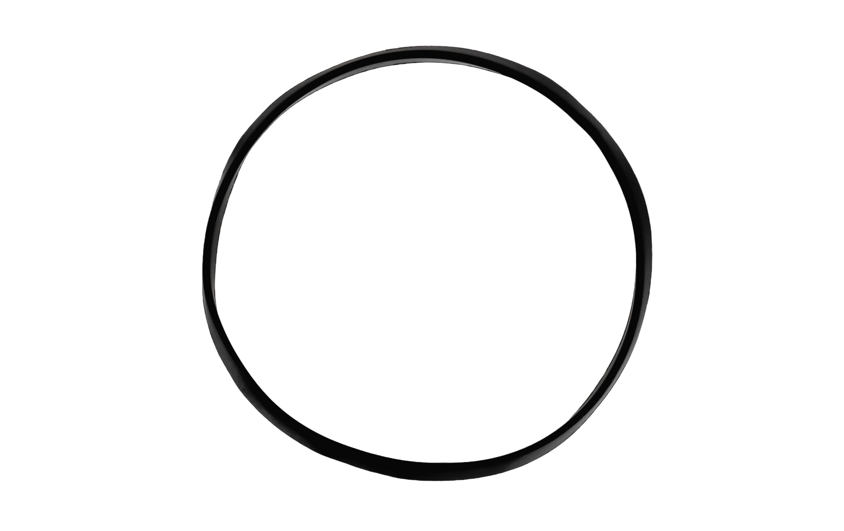 BISSELL Schmutzwassertank Dichtung zum Bissell Cross Wave Cordless