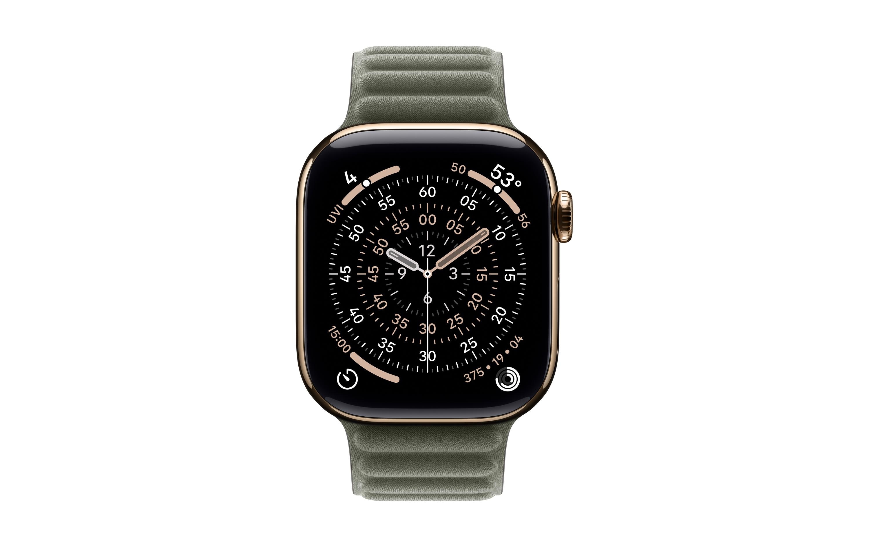 Apple Magnetic Link 42 mm Sage Gray M/L