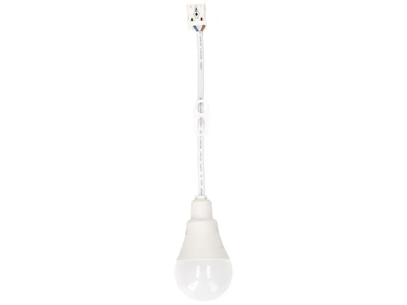 Max Hauri Baustellenlampe LED 4000K, 10 Stück Max Hauri Baustellenlampe LED 4000K, 10 Stück