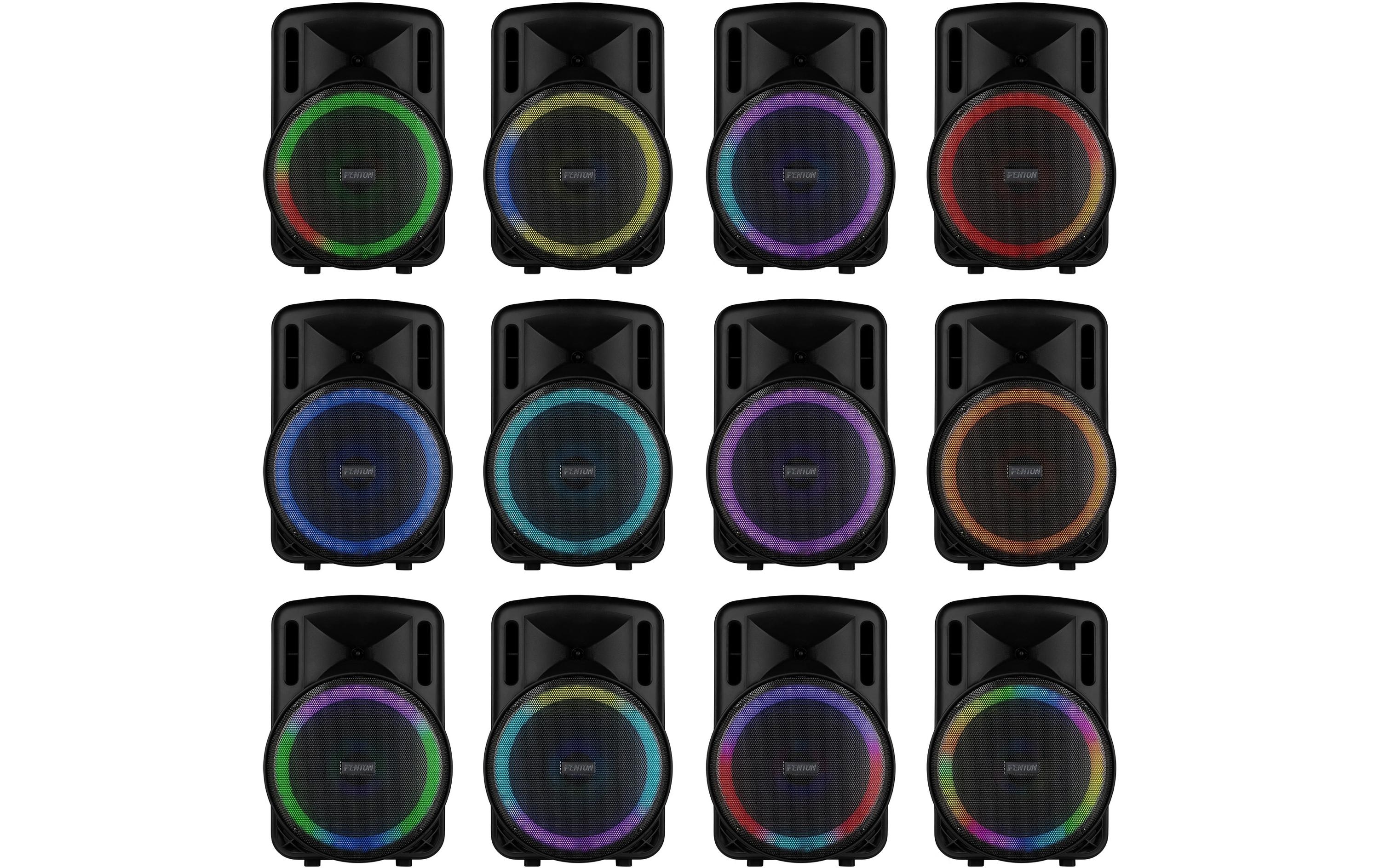 Fenton Lautsprecher FT15 LED MK2