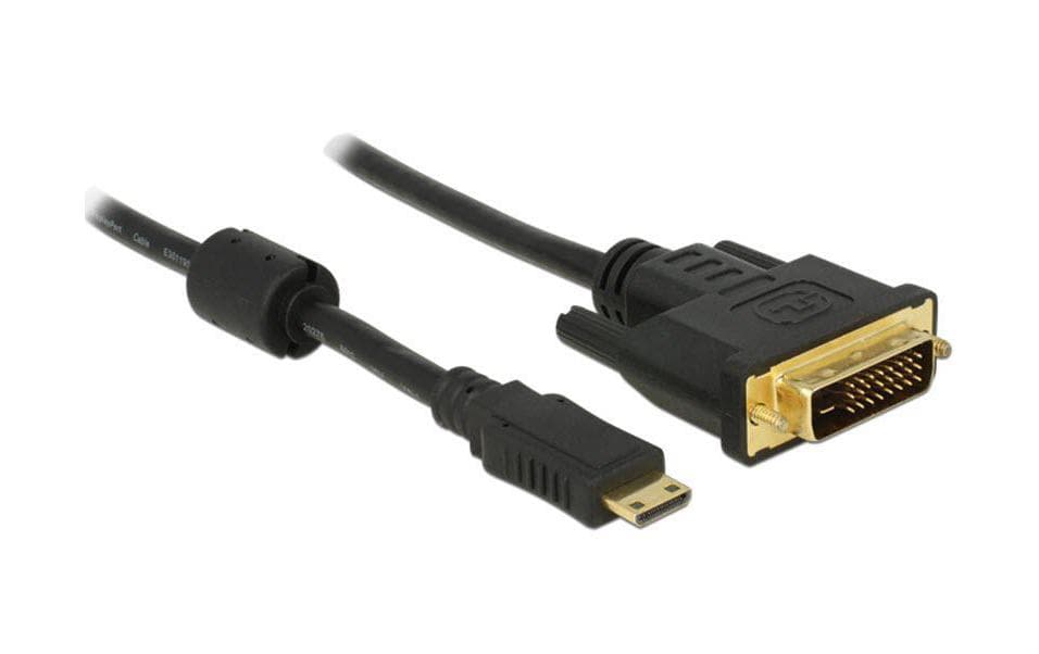 Delock Kabel Mini-HDMI (HDMI-C) - DVI-D, 2 m