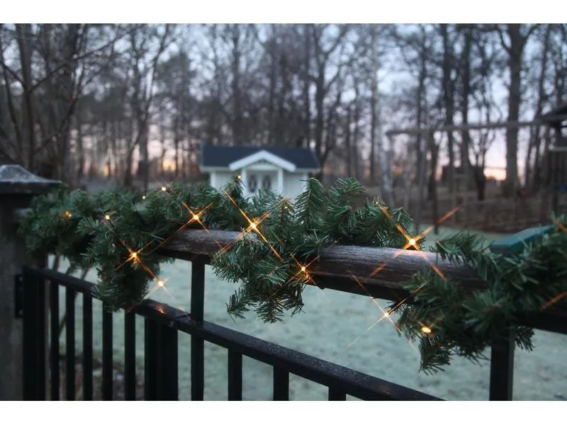 Star Trading Girlande Canadian, 2.5 m, 30 LED, Grün Star Trading Girlande Canadian, 2.5 m, 30 LED, Grün
