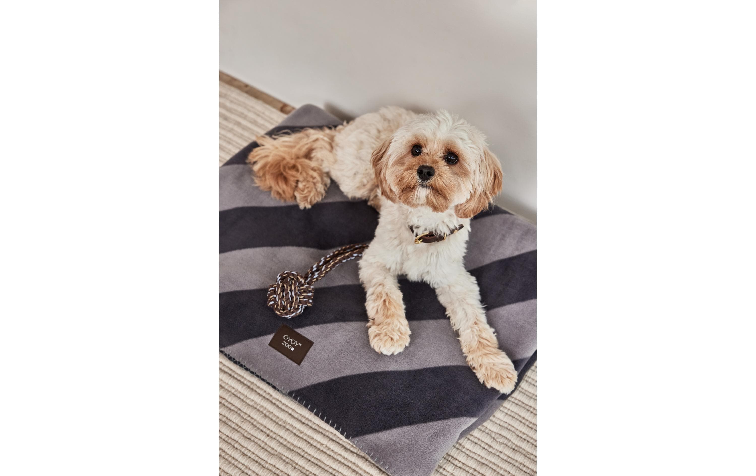 OYOY Hunde-Decke Kaya, M, Schwarz