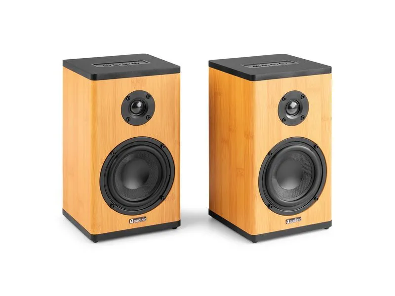 Audizio Regallautsprecher BS20-BM 50W, BT, Akku, bamboo Bambus