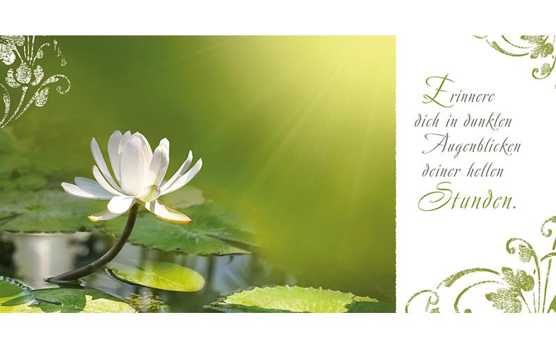 Grafik Werkstatt Minibuch Für alle Zeit