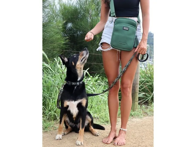 Doog Neosport Walkie Bag Grün Doog Neosport Walkie Bag Grün