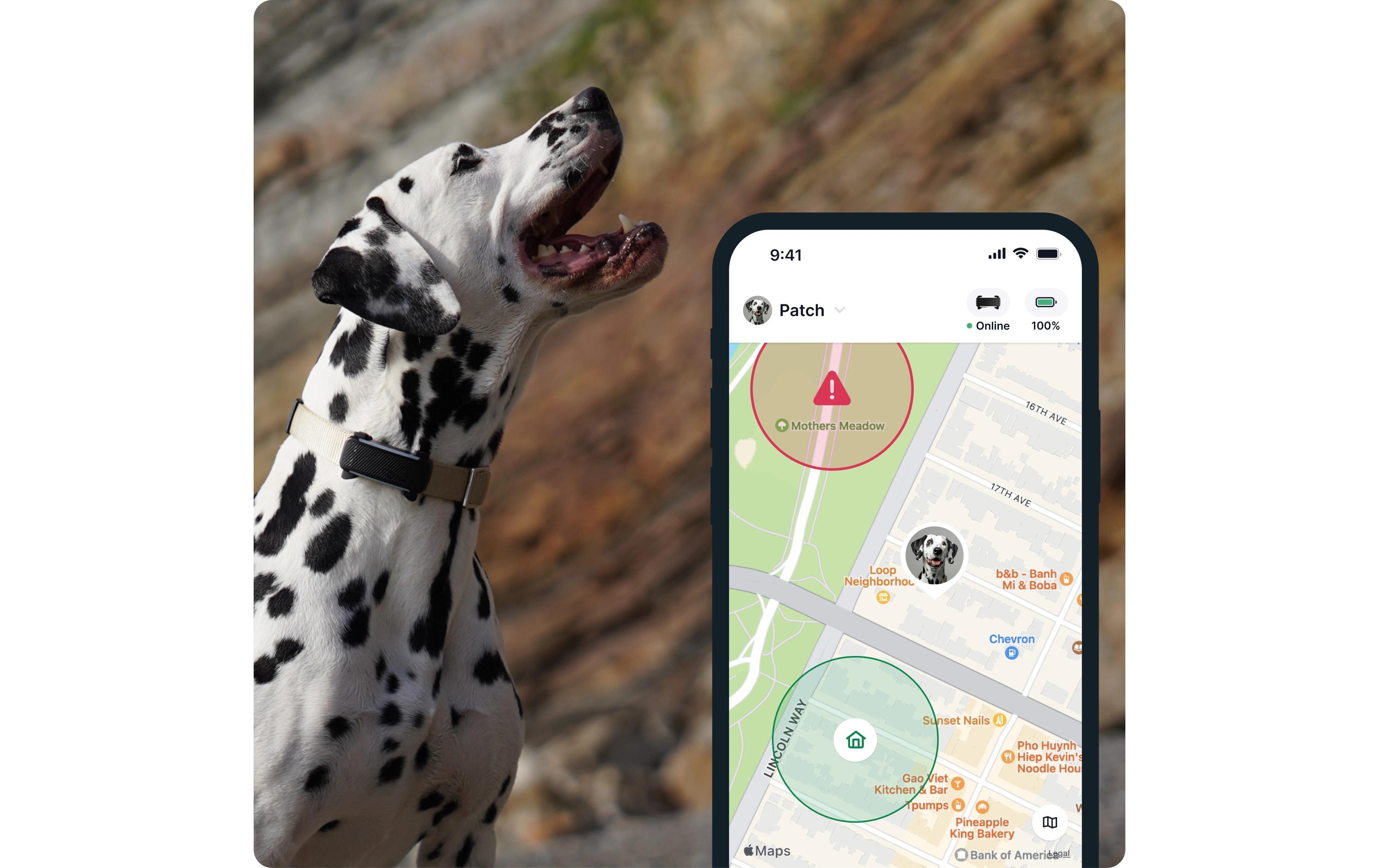 tractive GPS-Tracker DOG 6 Schwarz