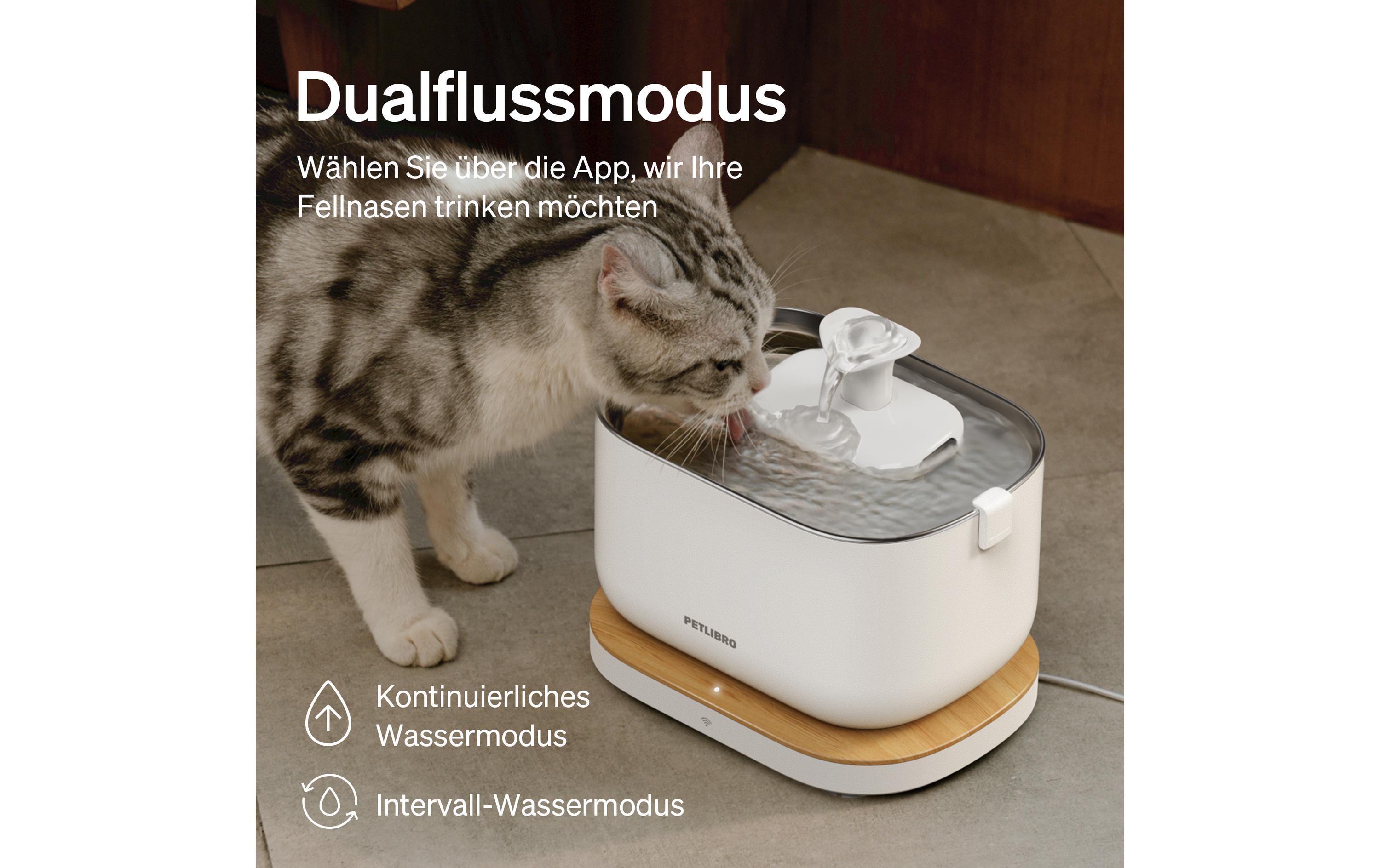 Petlibro Dockstream intelligenter Katzenbrunnen Weiss