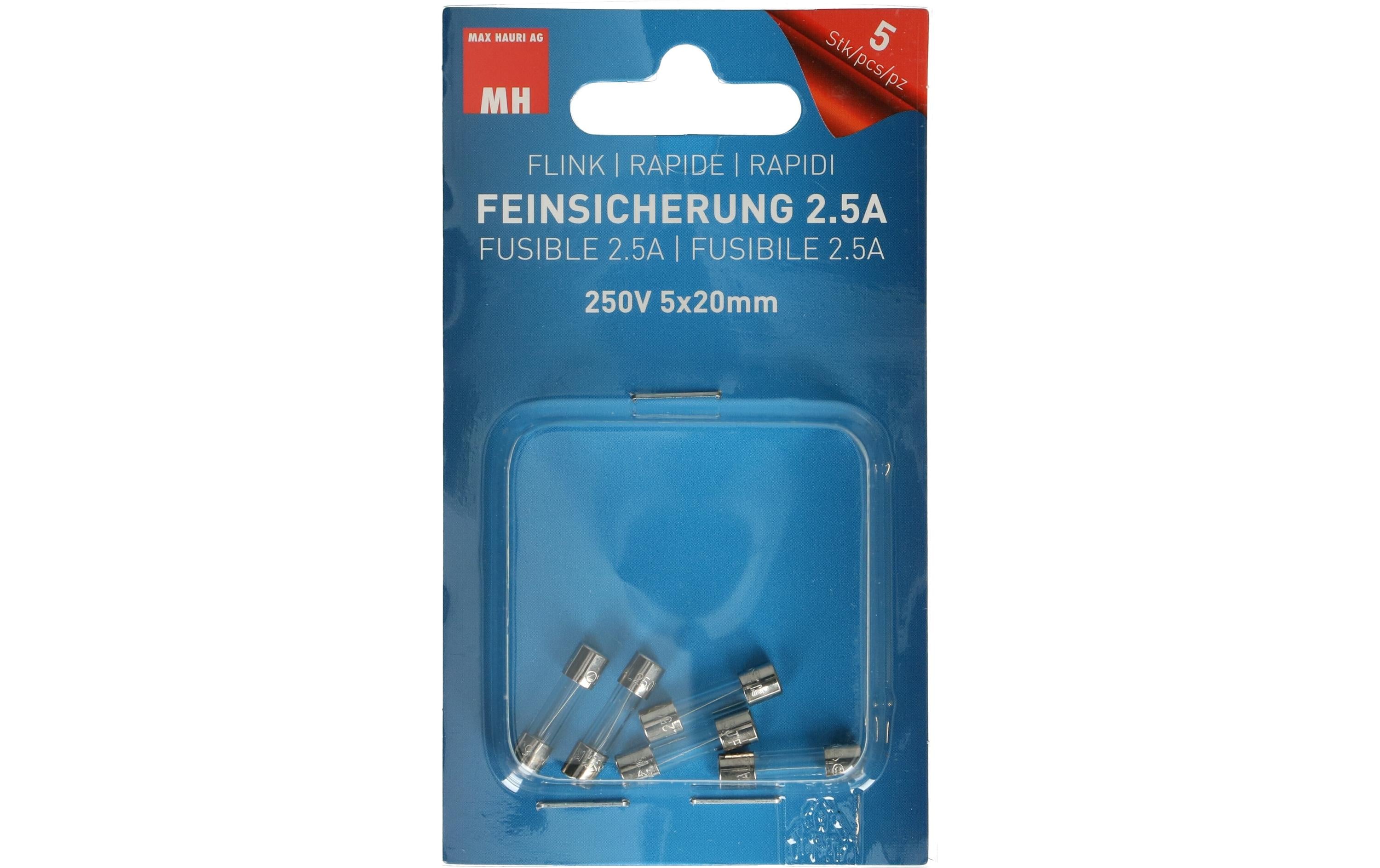 Max Hauri Schmelzsicherung 5 x 20 mm Flink 2.5 A, 5 Stück