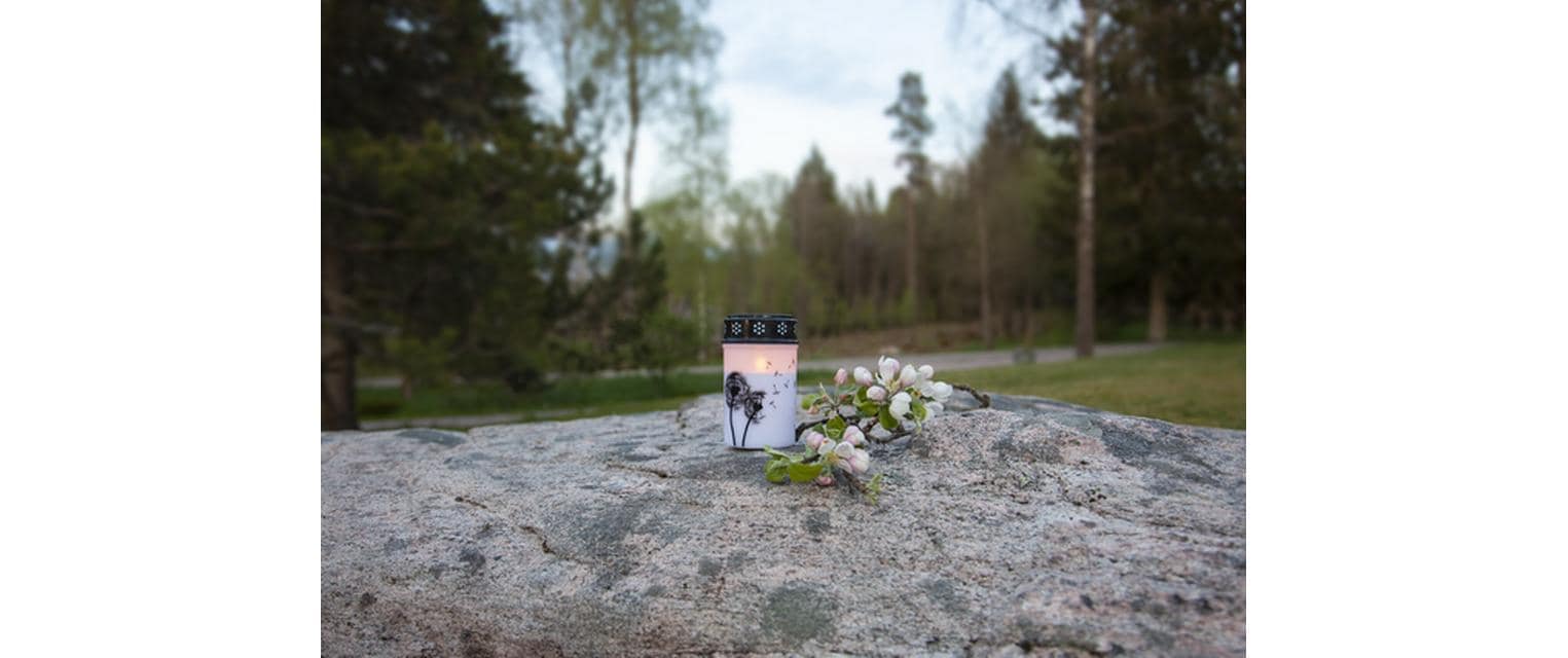 Star Trading LED Grabkerze Löwenzahn, Ø 7 x 12 cm, Weiss