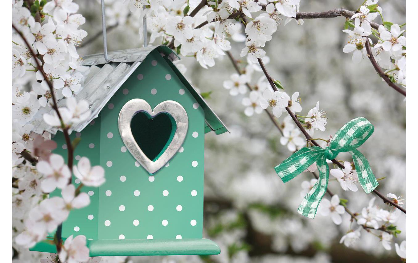 d-c-fix Designfolie Petersen Mint