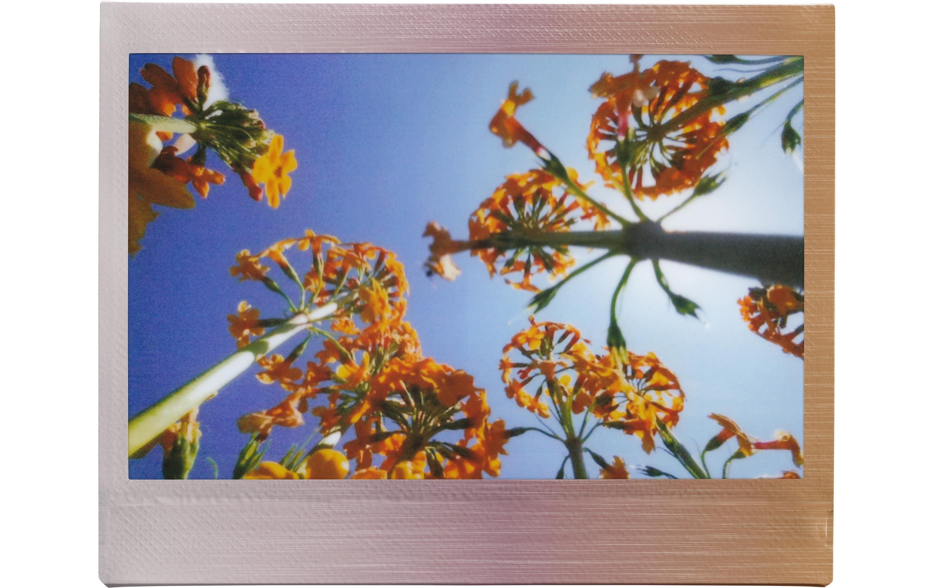 Fujifilm Sofortbildfilm Instax Wide 10 Blatt Brushed Metallics