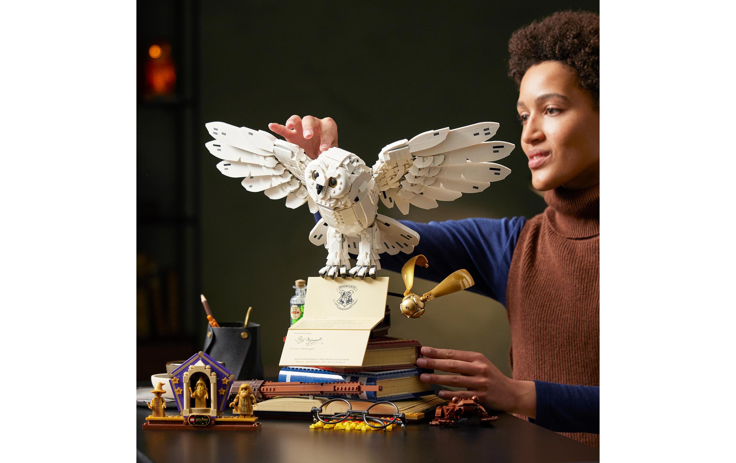 LEGO® Harry Potter Hogwarts Ikonen-Sammler-Edition 76391