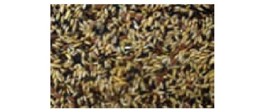 Eric Schweizer Ziervogelfutter Kanarien-Singfutter, 1 kg