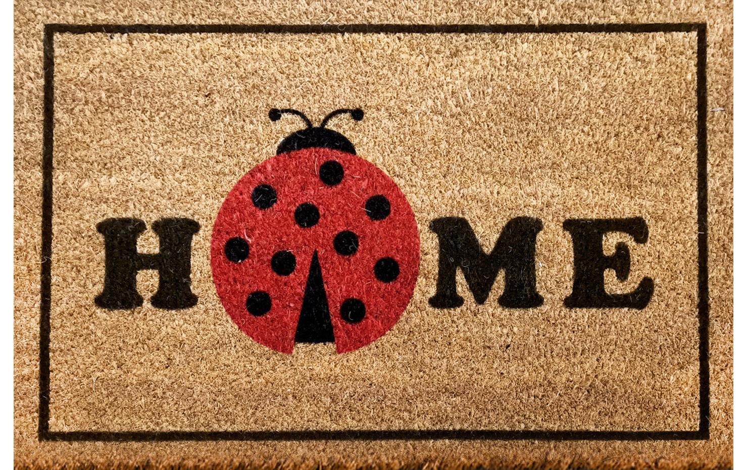 Conceptum Hypnose Fussmatte Marienkäfer 40 cm x 60 cm