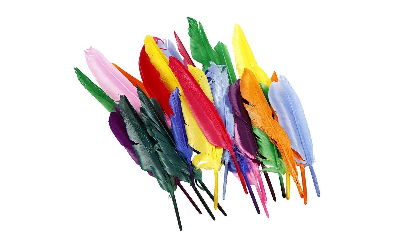 Creativ Company Federn 17 - 20 cm 250 Stück