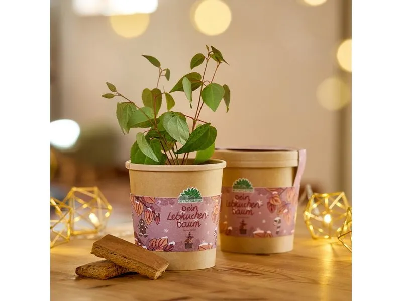 Die Stadtgärtner Lebkuchenbaum Braun Quadratisch Papier Die Stadtgärtner Lebkuchenbaum Braun Quadratisch Papier