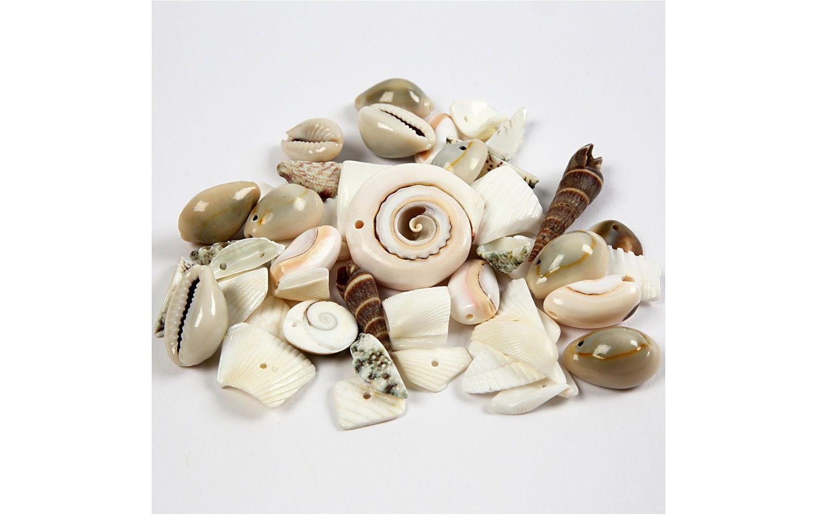 Creativ Company Perlen-Set 120 g Strandmuscheln