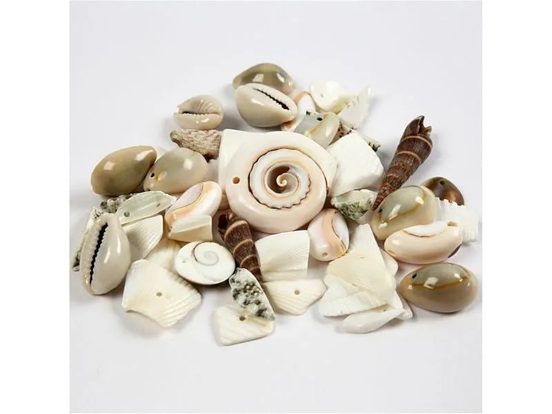 Creativ Company Perlen-Set 120 g Strandmuscheln Creativ Company Perlen-Set 120 g Strandmuscheln