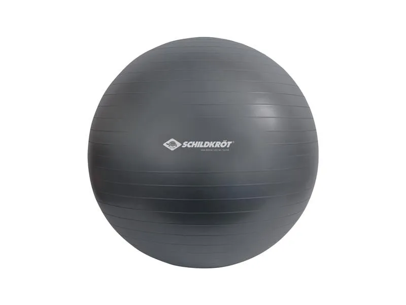 Schildkröt Fitness Gymnastikball 85 cm Schildkröt Fitness Gymnastikball 85 cm
