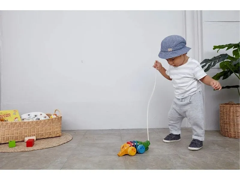 Plantoys Alligator Regenbogen Holz Mehrfarbig Plantoys Alligator Regenbogen Holz Mehrfarbig