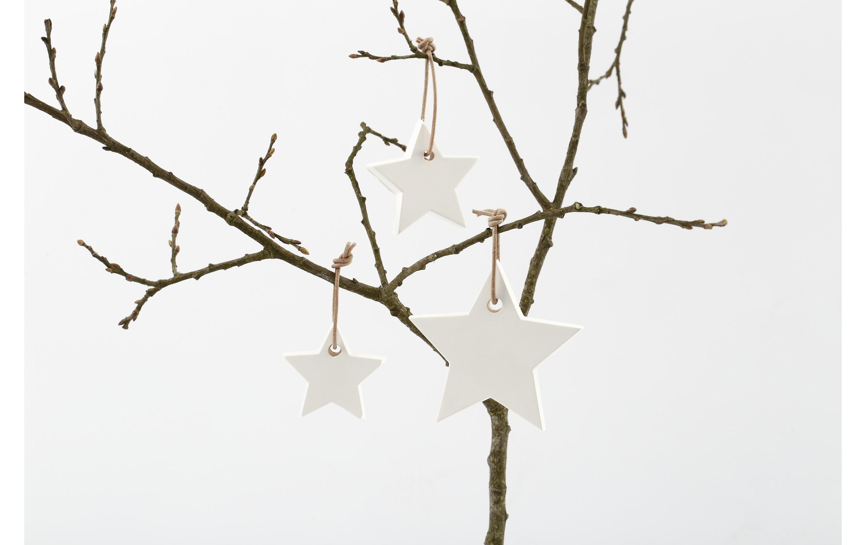 Creativ Company Lederband 2 mm, Beige, 10 m Creativ Company Lederband 2 mm, Beige, 10 m