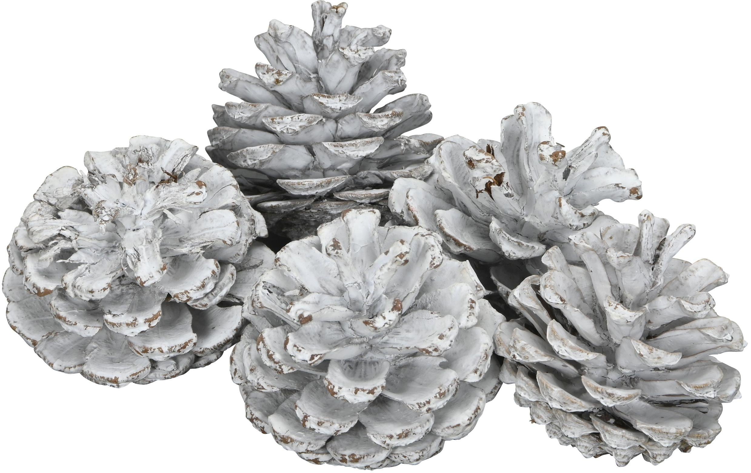 COCON Streudeko Schwarzkieferzapfen, Weiss COCON Streudeko Schwarzkieferzapfen, Weiss