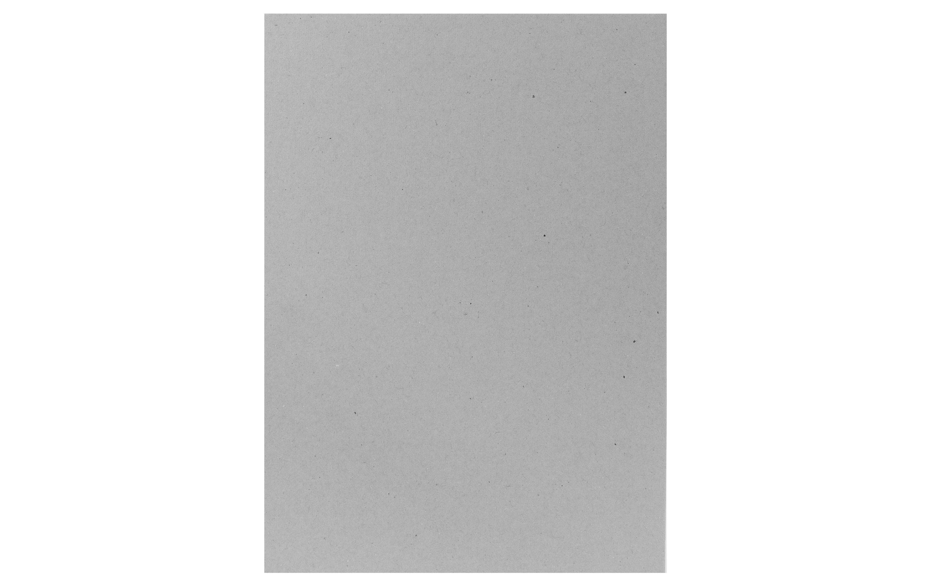 Scaldia Einlagekarton 21 x 29.7 cm, 900 gm²