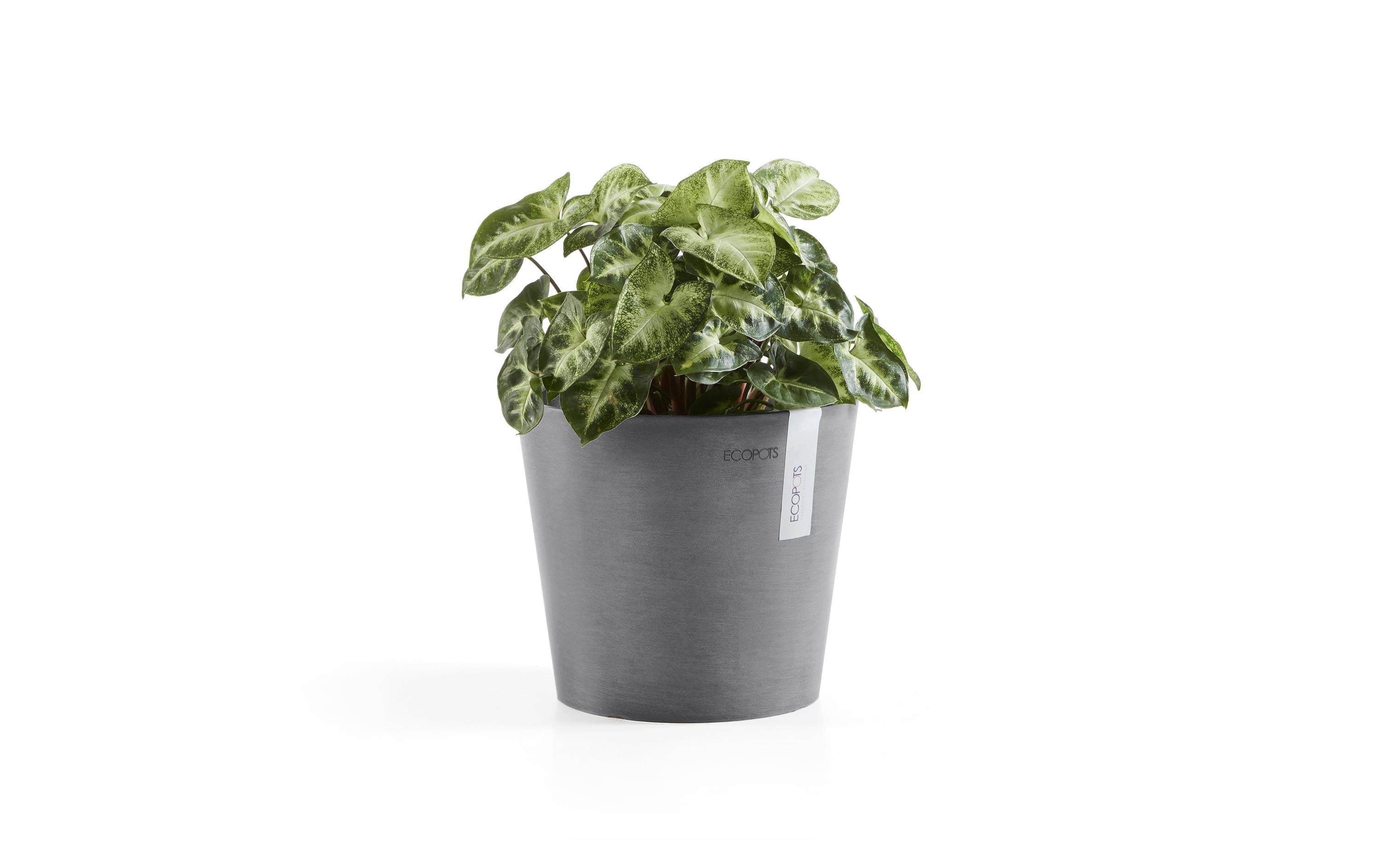 Ecopots Pflanzentopf Amsterdam 30 Grau