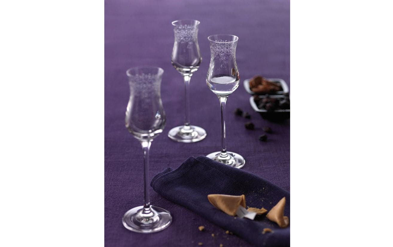 Leonardo Grappaglas Chateau 90 ml, 6 Stück, Transparent 