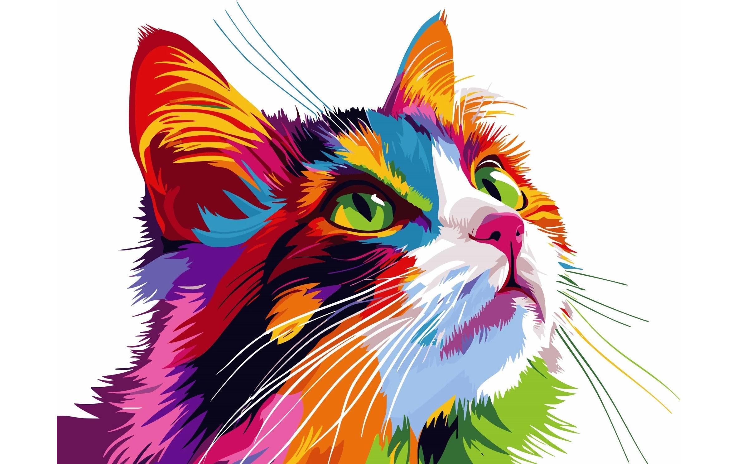 Colorelle Malen nach Zahlen Schmusekatze Pop Art