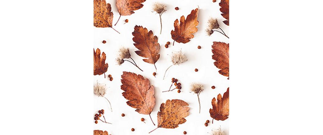Braun + Company Papierservietten Soft Autumn Weiss, 20 Stück
