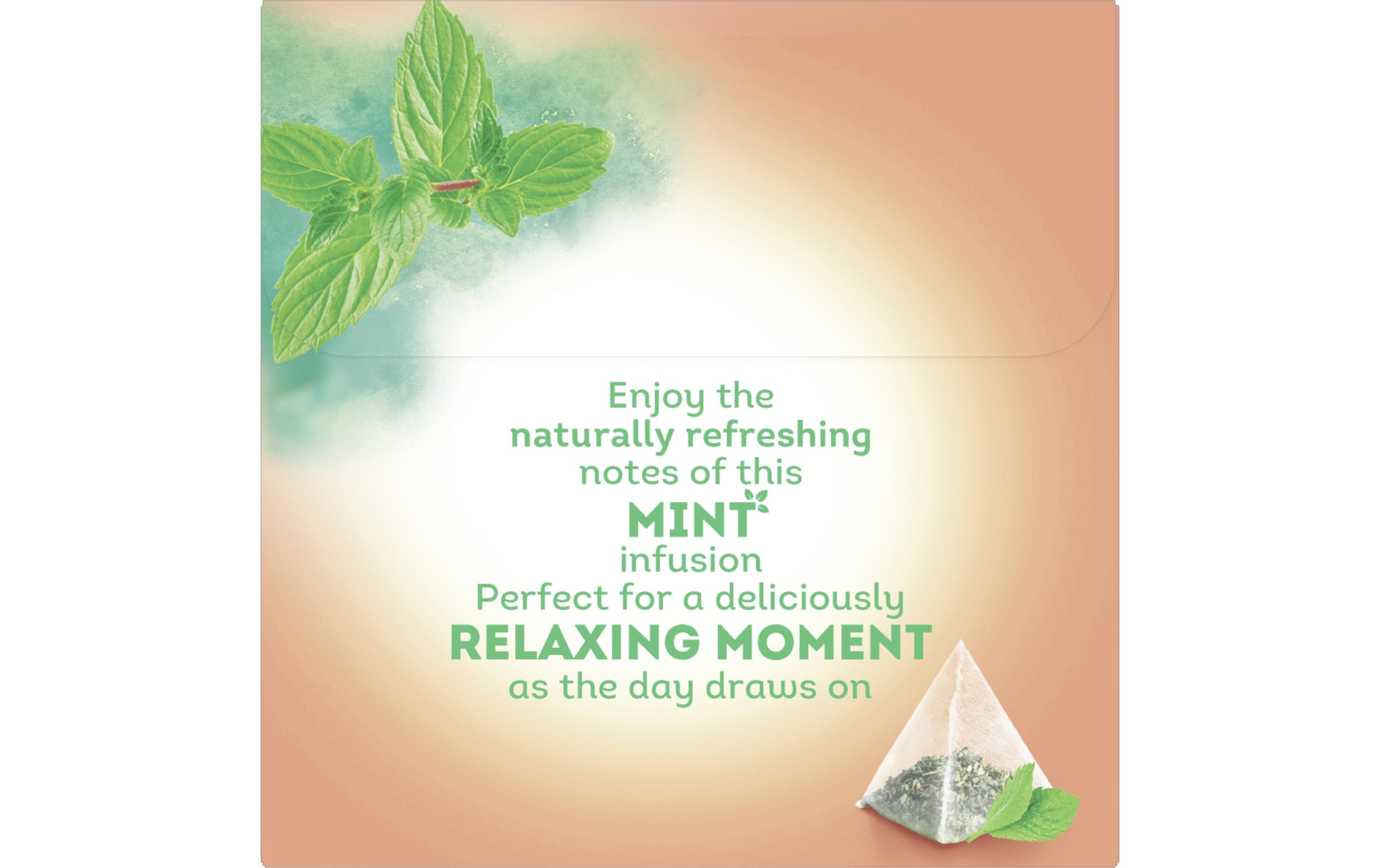 Lipton Teebeutel Mint 20 Stück