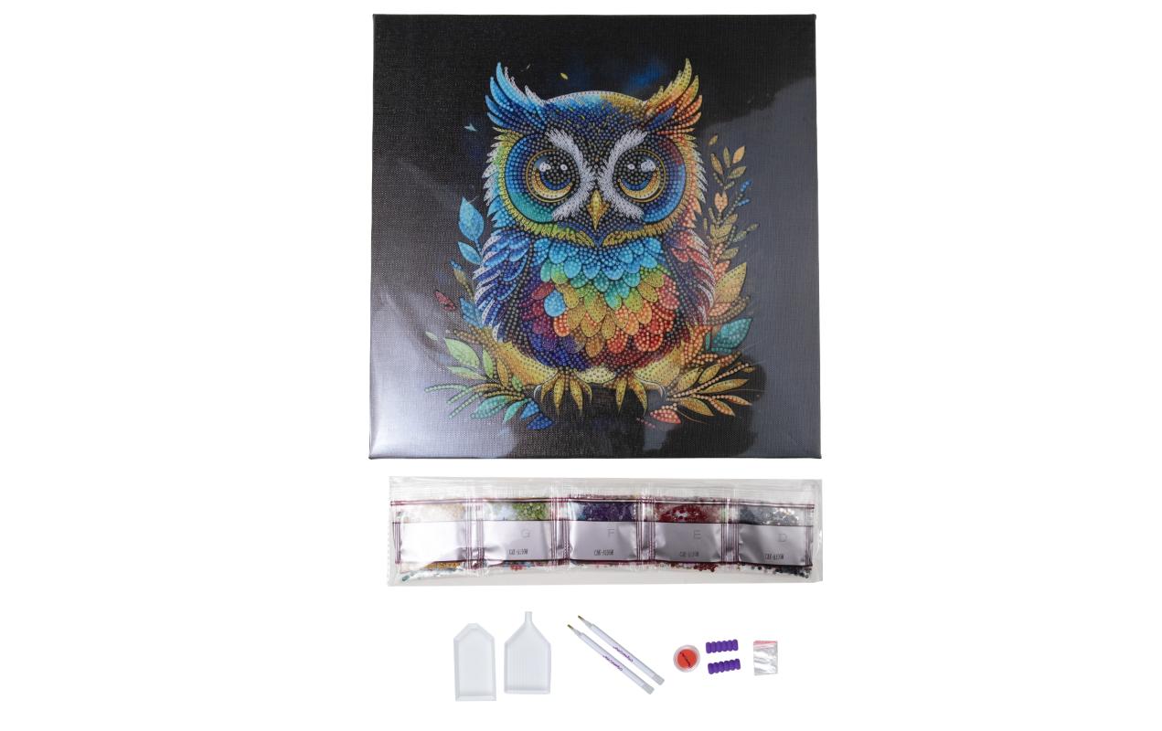 CRAFT Buddy Bastelset Crystal Art Kit Eule CRAFT Buddy Bastelset Crystal Art Kit Eule