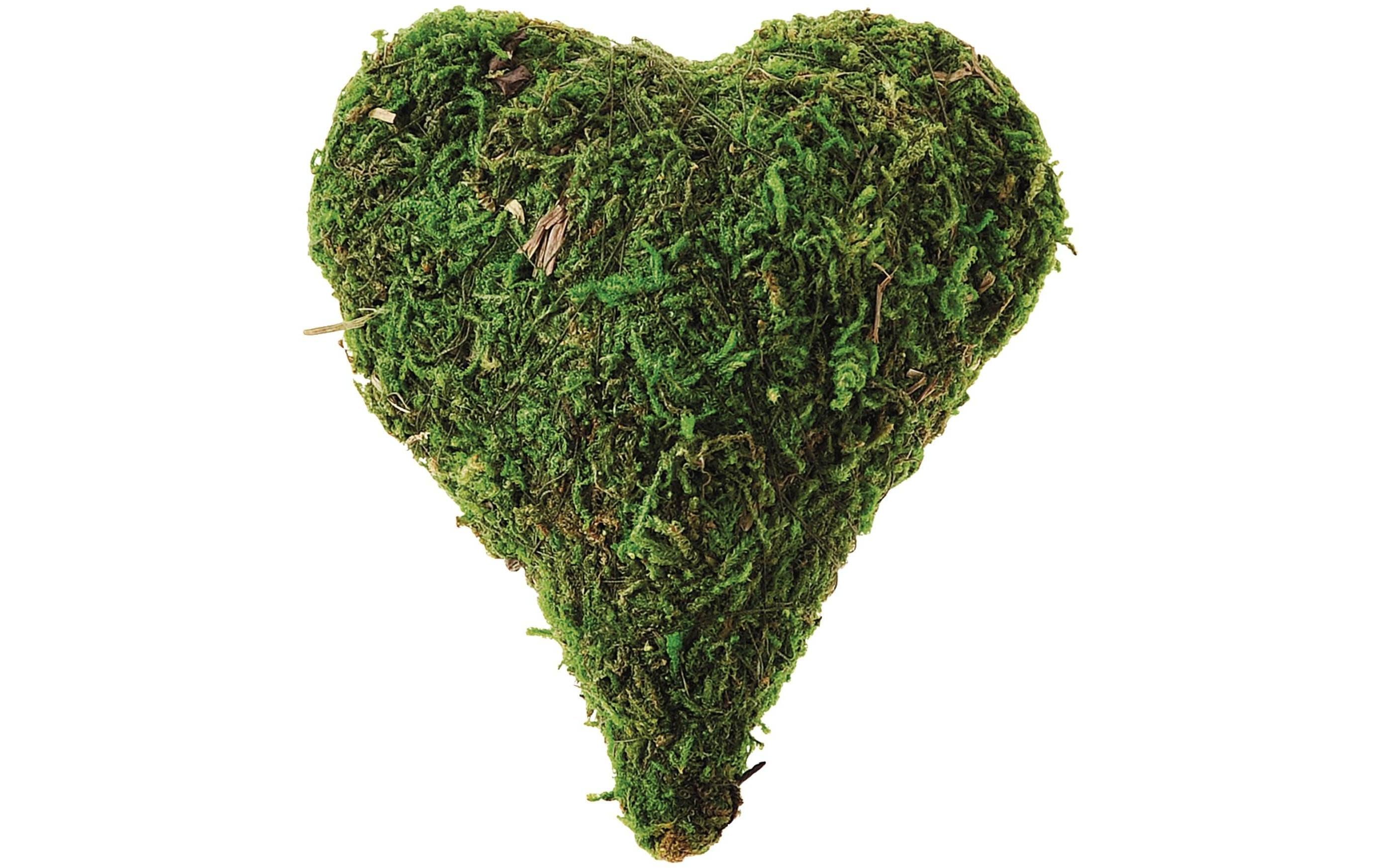 Opiflor Moosherz Grini Ø 10.5 cm Opiflor Moosherz Grini Ø 10.5 cm