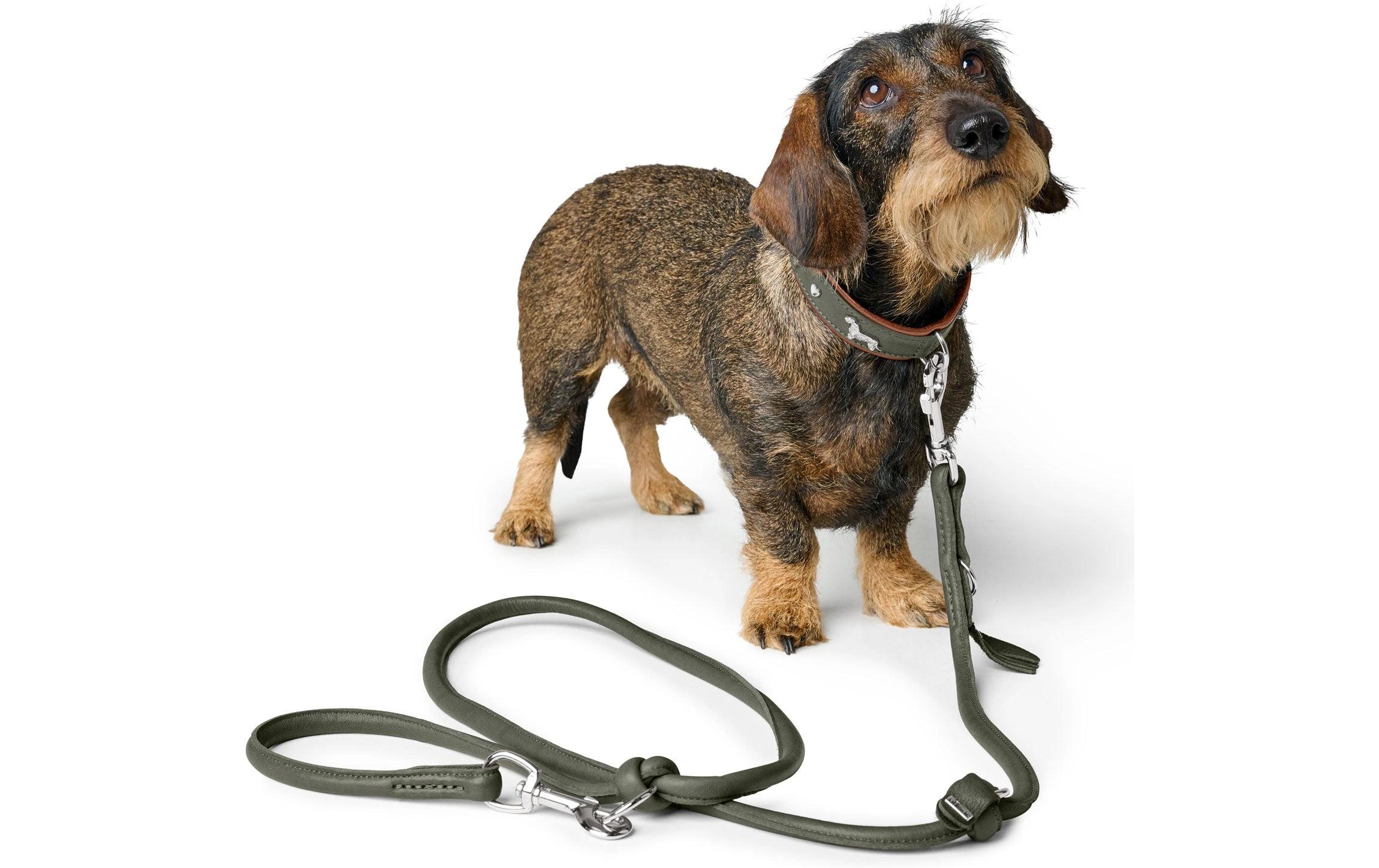 Hunter V-Leine Round München 10/200, Rindsleder, Grün