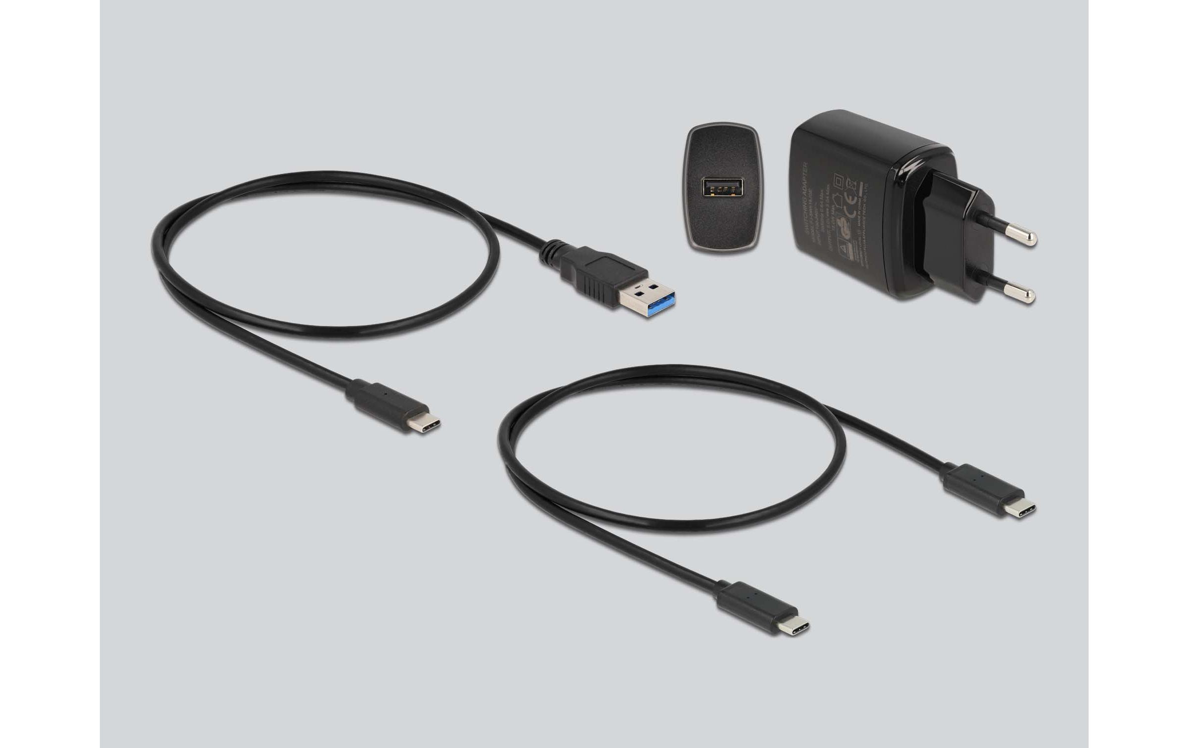 Delock Dockingstation für SSD mit SD Express Card Reader