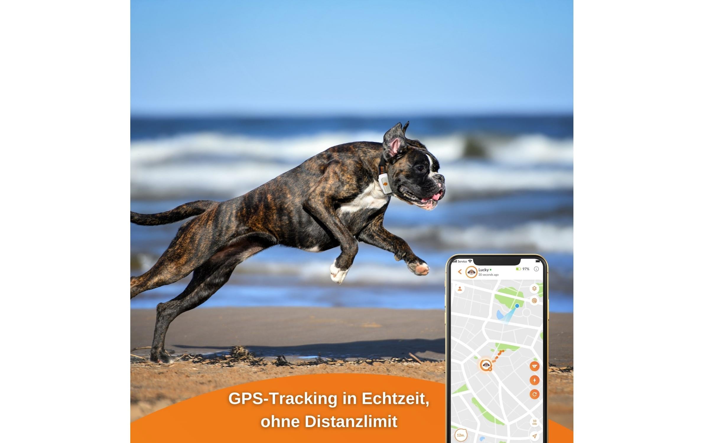 Weenect GPS-Tracker XS für Hunde, Weiss