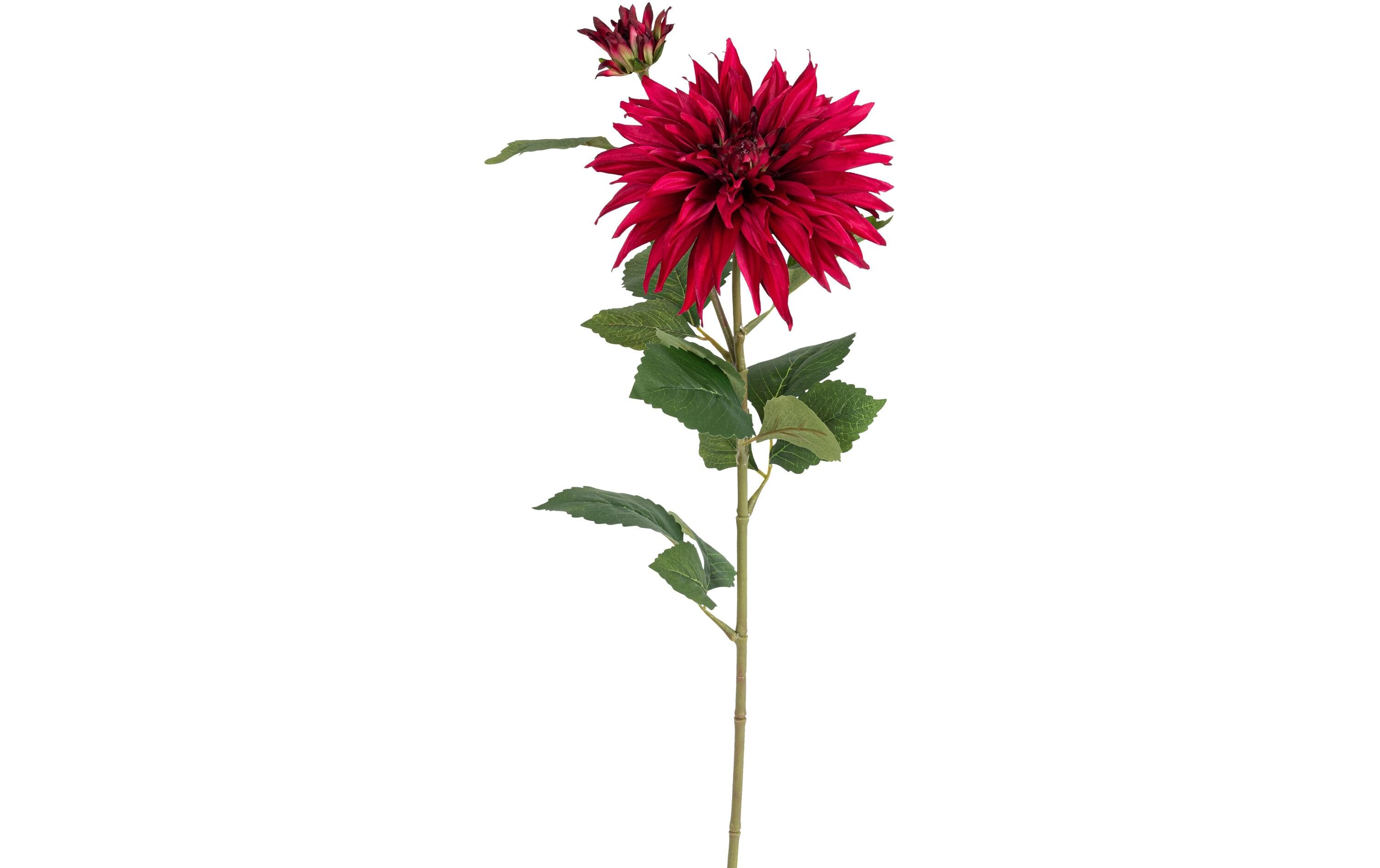 Botanic-Haus Kunstblume Dahlie, Cerise, 85 cm