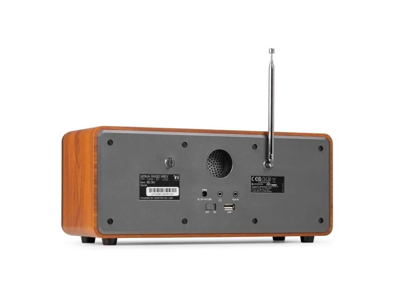 Audizio Genua-DG DAB+/FM Radio mit BT, Stereo, Grau