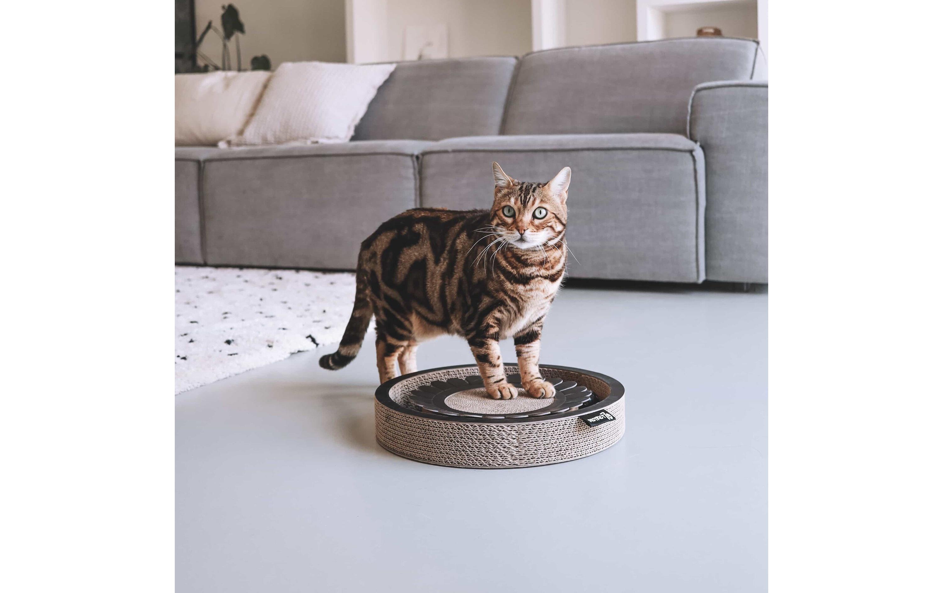 District 70 Katzen-Spielzeug Spielboard Bloom Black, 32 x 32 x 6 cm District 70 Katzen-Spielzeug Spielboard Bloom Black, 32 x 32 x 6 cm