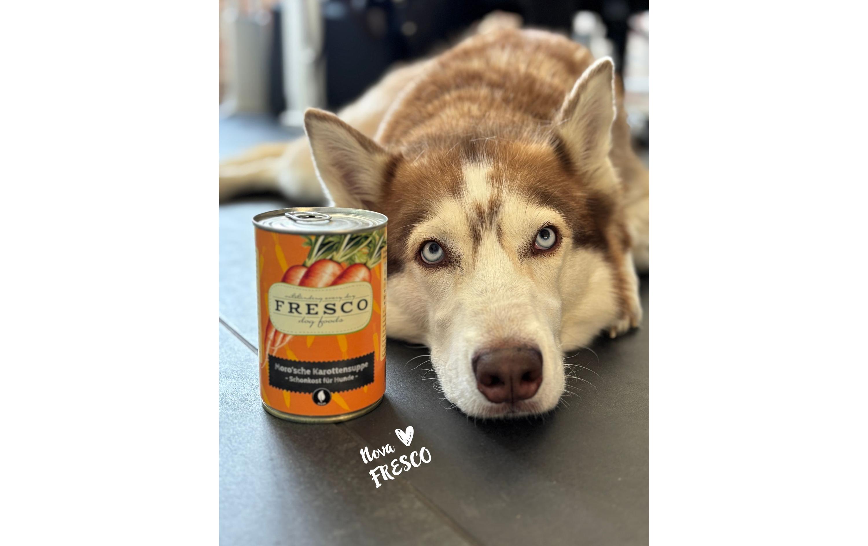 FRESCO Moro'sche Karottensuppe FRESCO Moro'sche Karottensuppe