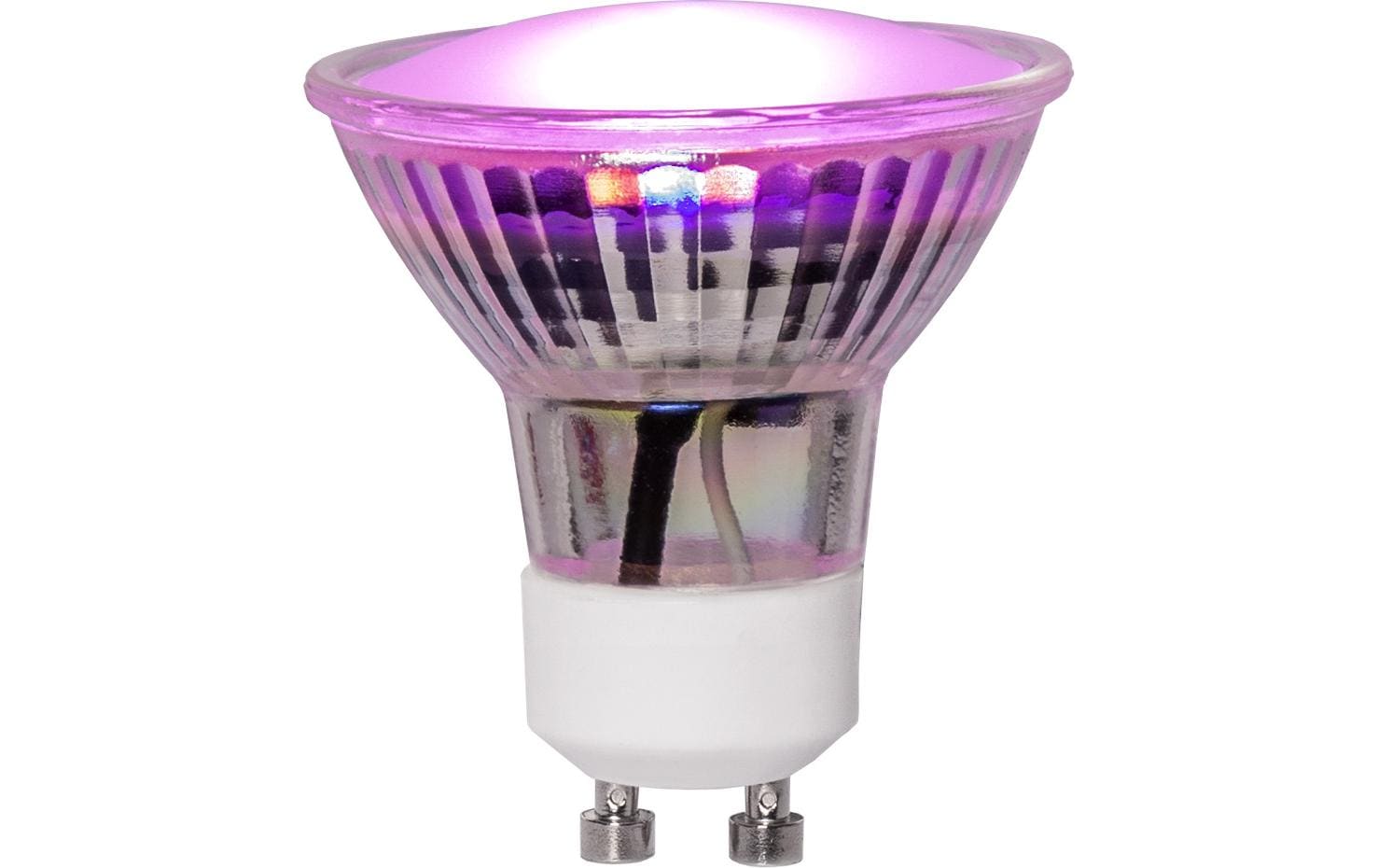 Star Trading Leuchtmittel LED Pflanzen GU10, 3.5 W, 42 lm