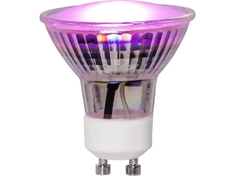 Star Trading Leuchtmittel LED Pflanzen GU10, 3.5 W, 42 lm Star Trading Leuchtmittel LED Pflanzen GU10, 3.5 W, 42 lm